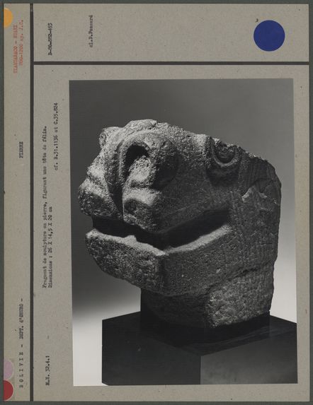 Fragment de sculpture en pierre : tête de félin
