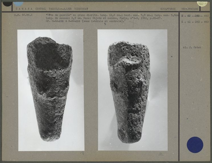 &quot;Tête de gazelle&quot; en grano diorite