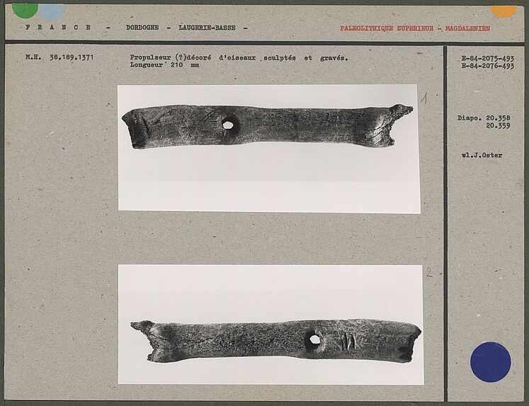 Propulseur décoré d'oiseaux sculptés et gravés