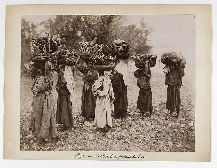 781. Paysannes de Palestine transportant du bois