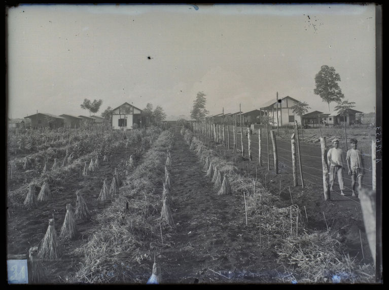 Sans titre [champ agricole]