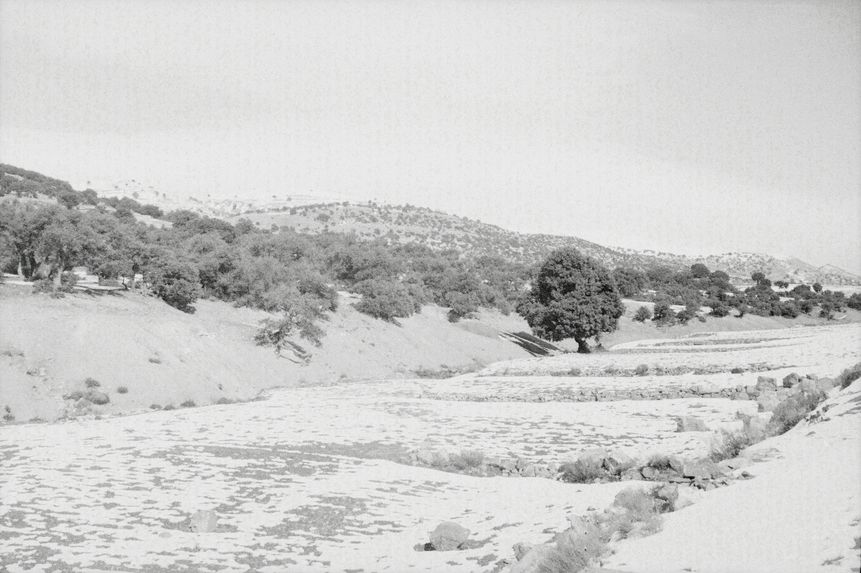 Sans titre [bande film de six vues concernant les Aurès]