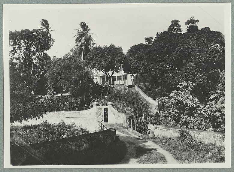 Guadeloupe ; jardin botanique de Basse-Terre