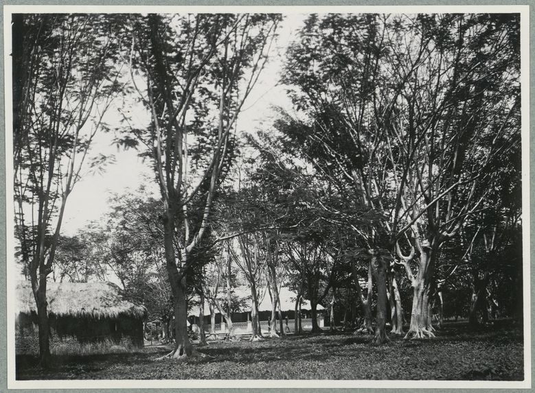 Boudoukou. La poste