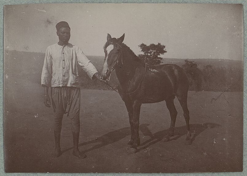 Cheval du Bornou [tenu par la bride par un homme]