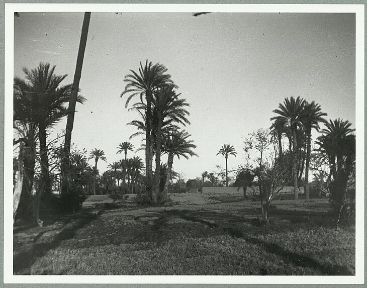 Maroc [jardin]