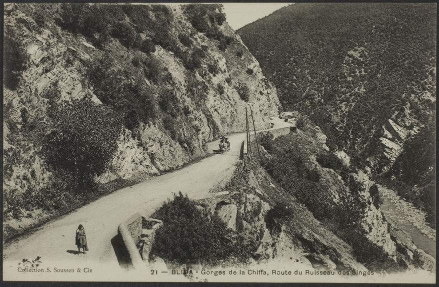 Blida - Gorges de la Chiffa, Route du Ruisseau des Singes