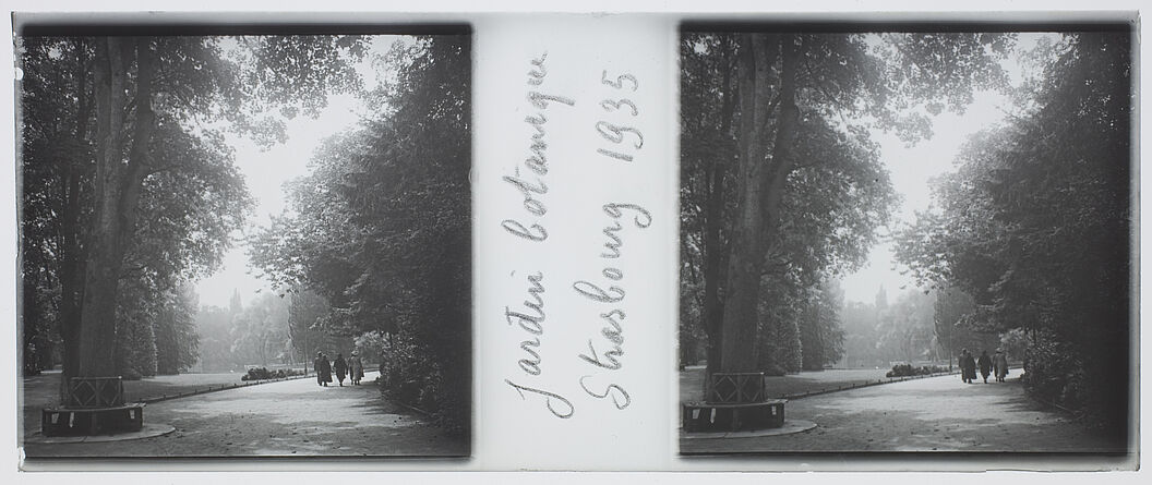 Jardin botanique. Strasbourg