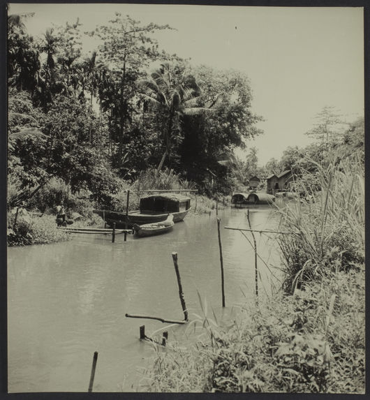 Sans titre [Siam Réap. Sampan à gauche. Rivière dans la forêt d'Angkor]