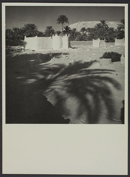 Vue sur le vieux ksar d'El Goléa, Sud algérien