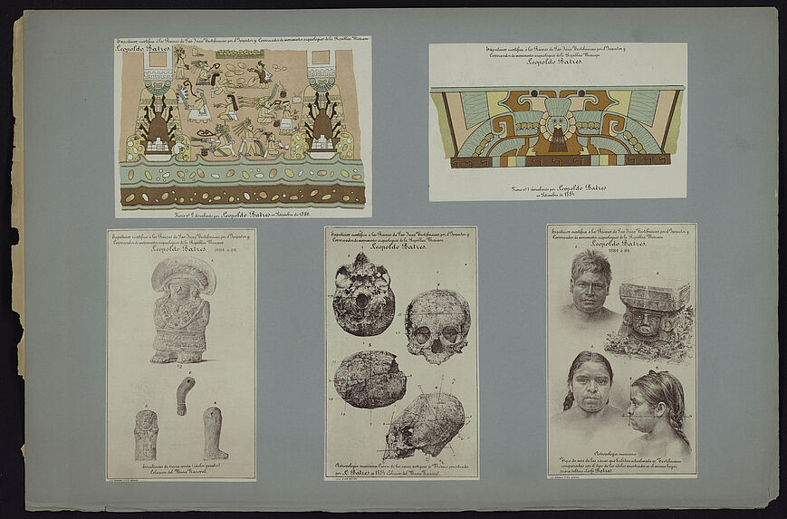 Antropologia mexicana. Cràneo de las razas antiguas de Mexico, encontrado por L. Batres en 1884 [diverses vues d'un crâne]