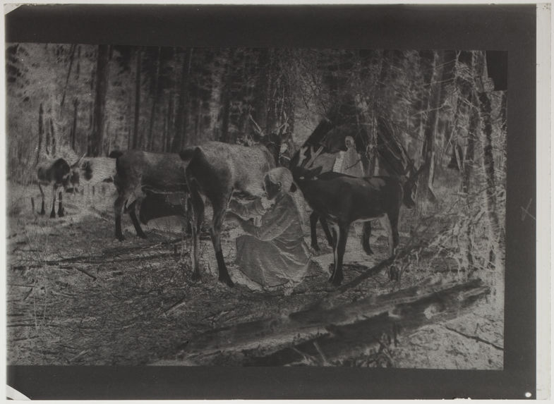 Femme trayant un renne
