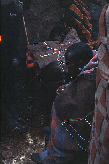 Bande film de six vues concernant des Maasaï lors d'une cérémonie