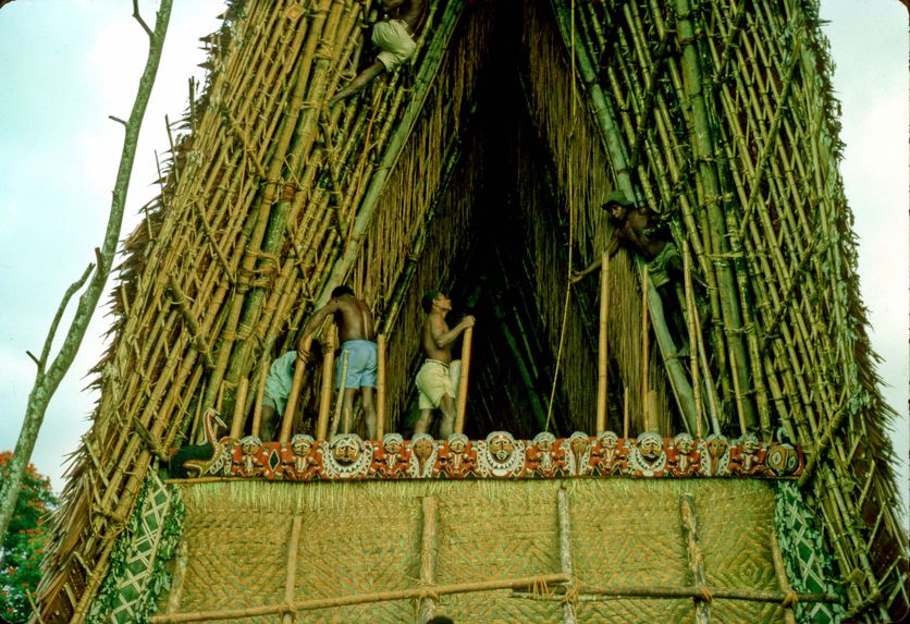 Building Maprik Haus Tambaran in Maprik Cultural Centre; attaching the bai
