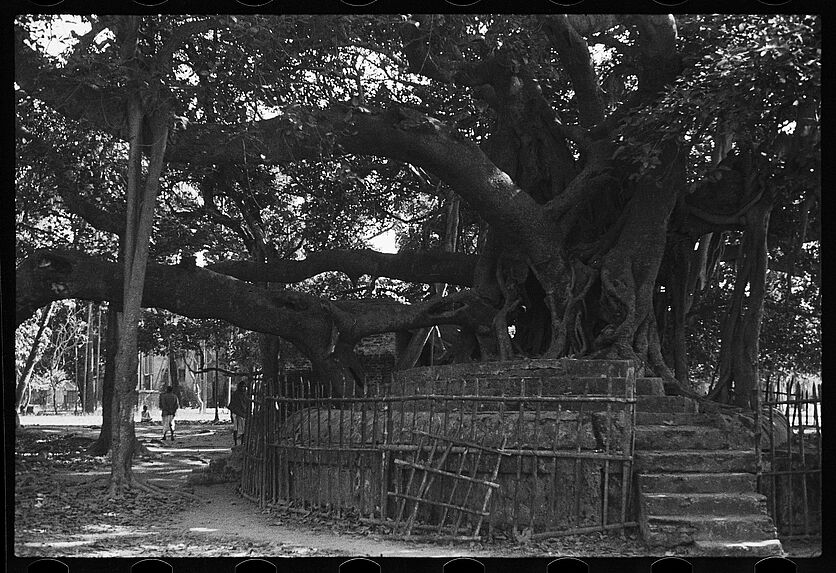 Bodh Gaya, Calcutta [bande film de quatre vues]