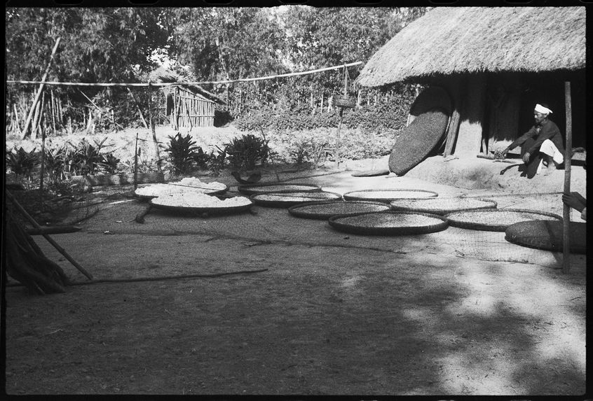 Sans titre [bande film de deux vues concernant des scènes diverses]