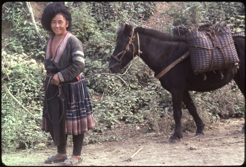 Femme revenant des champs avec son cheval de bât