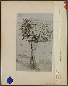 Femme de Tehuantepec portant un fardeau