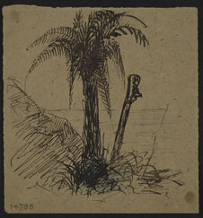 Palmiers et Totem