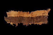 Tissu (fragment)