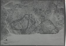 Gravures magdaléniennes représentant des chouettes des neiges