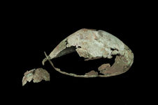 Coupe (fragments)