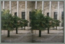 Sans titre [palmiers et façade du musée national des arts d'Afrique et…