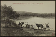 Vue sur les bords du Niari à Loudima