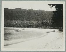 Sans titre [plage bordée de cocotiers avec quelques baigneurs et deux barques]