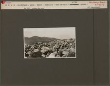 En 1927 : ruines des murs [Cerro de Tlaloc]