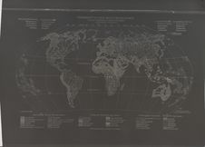 Carte ethnique du monde