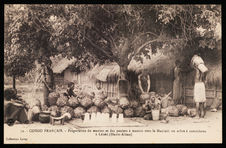 Préparation du manioc et des paniers à manioc sous le Manioth ou arbre à…