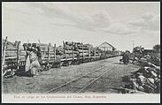 Tren de carga en los Quebrachales del Chaco