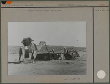 Campement touareg et chameau avec selle de femme