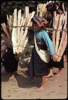 Jeunes femmes transportant le bois à vendre au marché