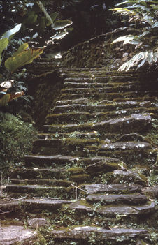 Escalier reliant deux terrasses