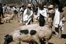 Marché d'Alakamisy