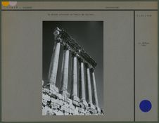 La grande colonnade du temple de Jupiter
