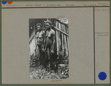 Femmes canaques près de Hog Harbour