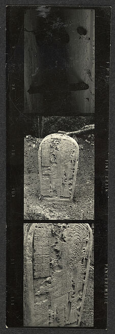Sans titre [planche-contact de trois vues concernant le site de Tikal]