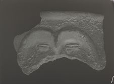 Fragment de col d'urne funéraire