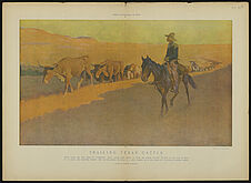 Un convoi de bétail du Texas allant à la gare [illisible]