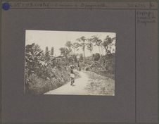 Paysage : environs de Bingerville