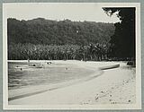 Sans titre [plage bordée de cocotiers avec quelques baigneurs et deux barques]