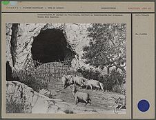 Reconstitution de paysage au Néolithique