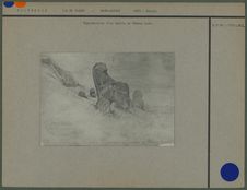 Ile de Pâques, janvier 1872. Sur le versant du cratère de Rano Raraku