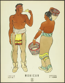 Plate No.7. Indian. Mohican. Aboriginal, N. Y. Algonquin