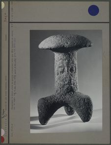 Champignon avec tête humaine en relief