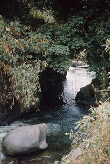 Quilcate, La Lucma. Deuxième mission. Rio de la Lucma. Entre les lianes