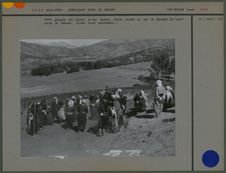 Danse groupée des kurdes de Sar Dachte